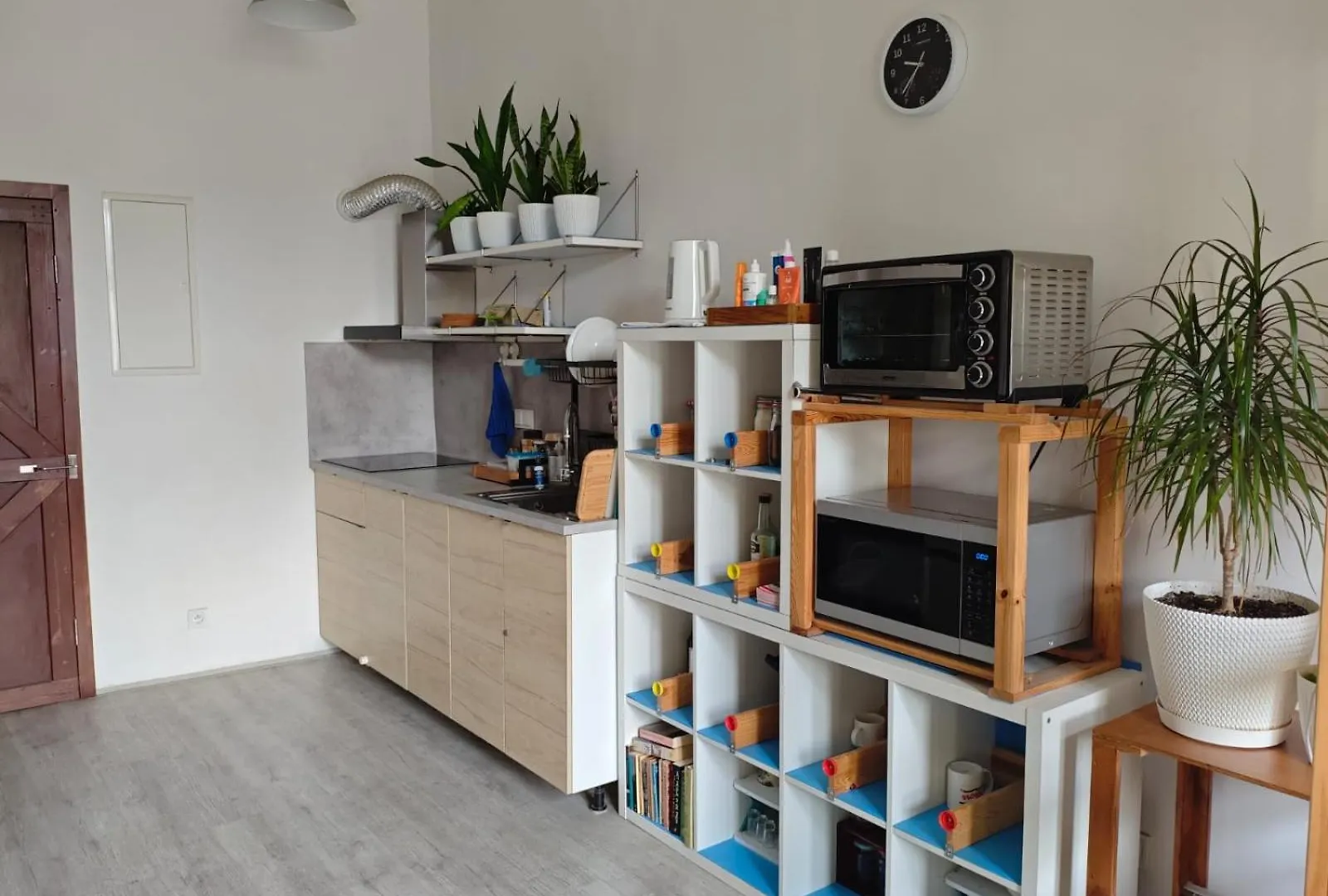 Evergreen Hostel Cracovia